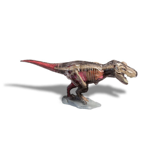 Discovery Mindblown 4D T-Rex Anatomy Kit