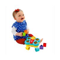 Fisher-Price Butterfly Shape Sorter