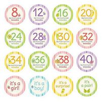 Pearhead Pregnancy Milestone Stickers