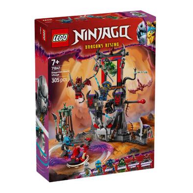  LEGO Ninjago Dragonian Storm Village 71841 