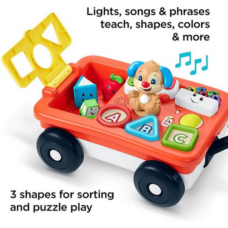 fisher price play and learn